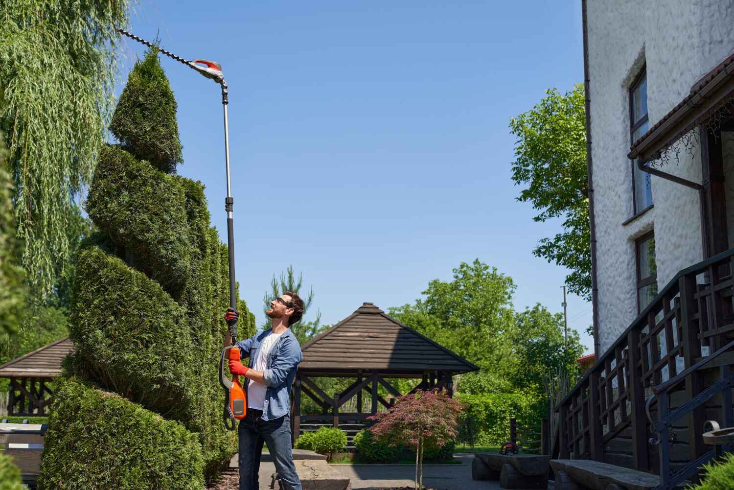 Best Tree Trimming Near Me  in Wabasso Beach, FL